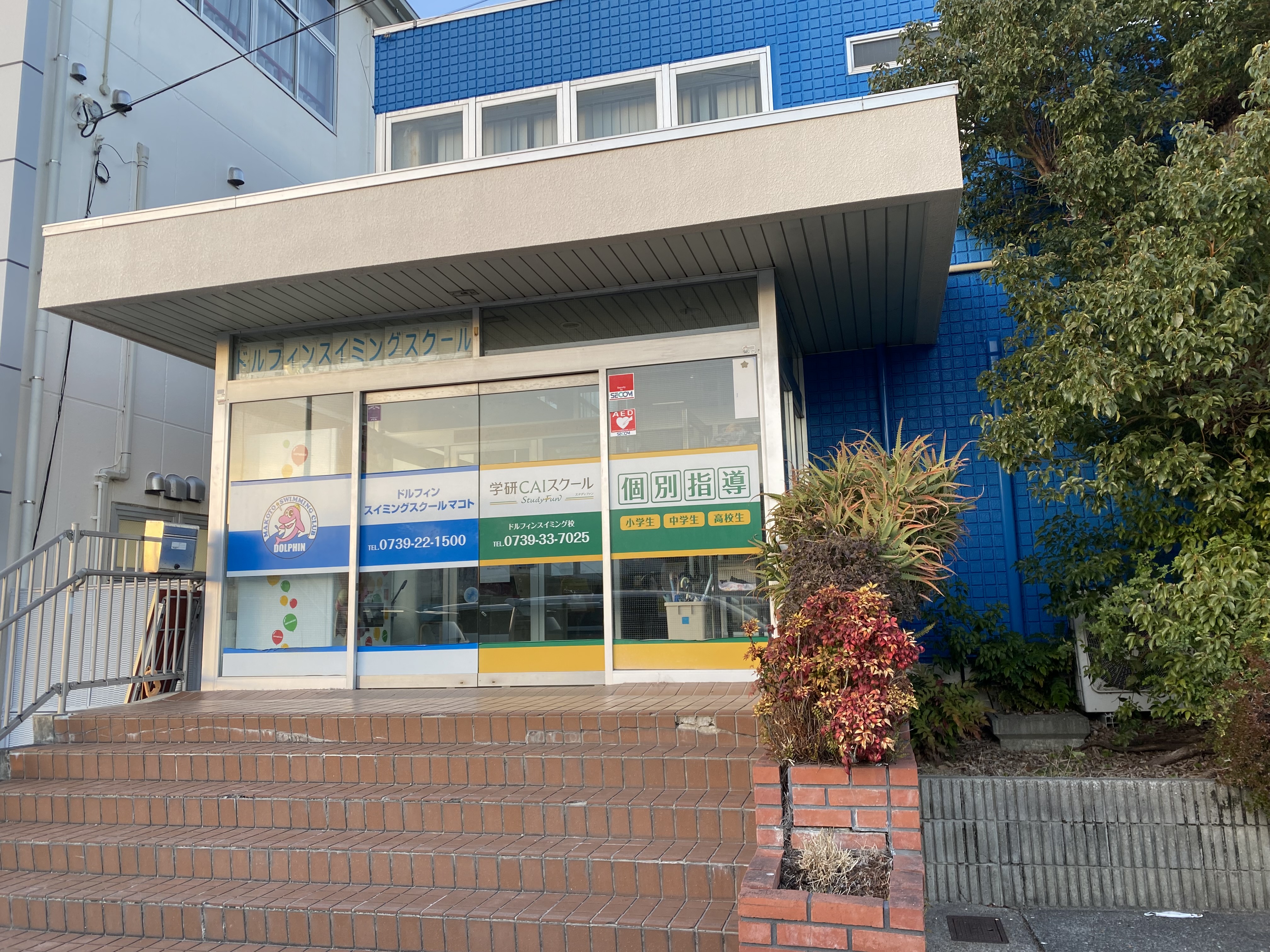 はじめまして！ドルフィンスイミング校です