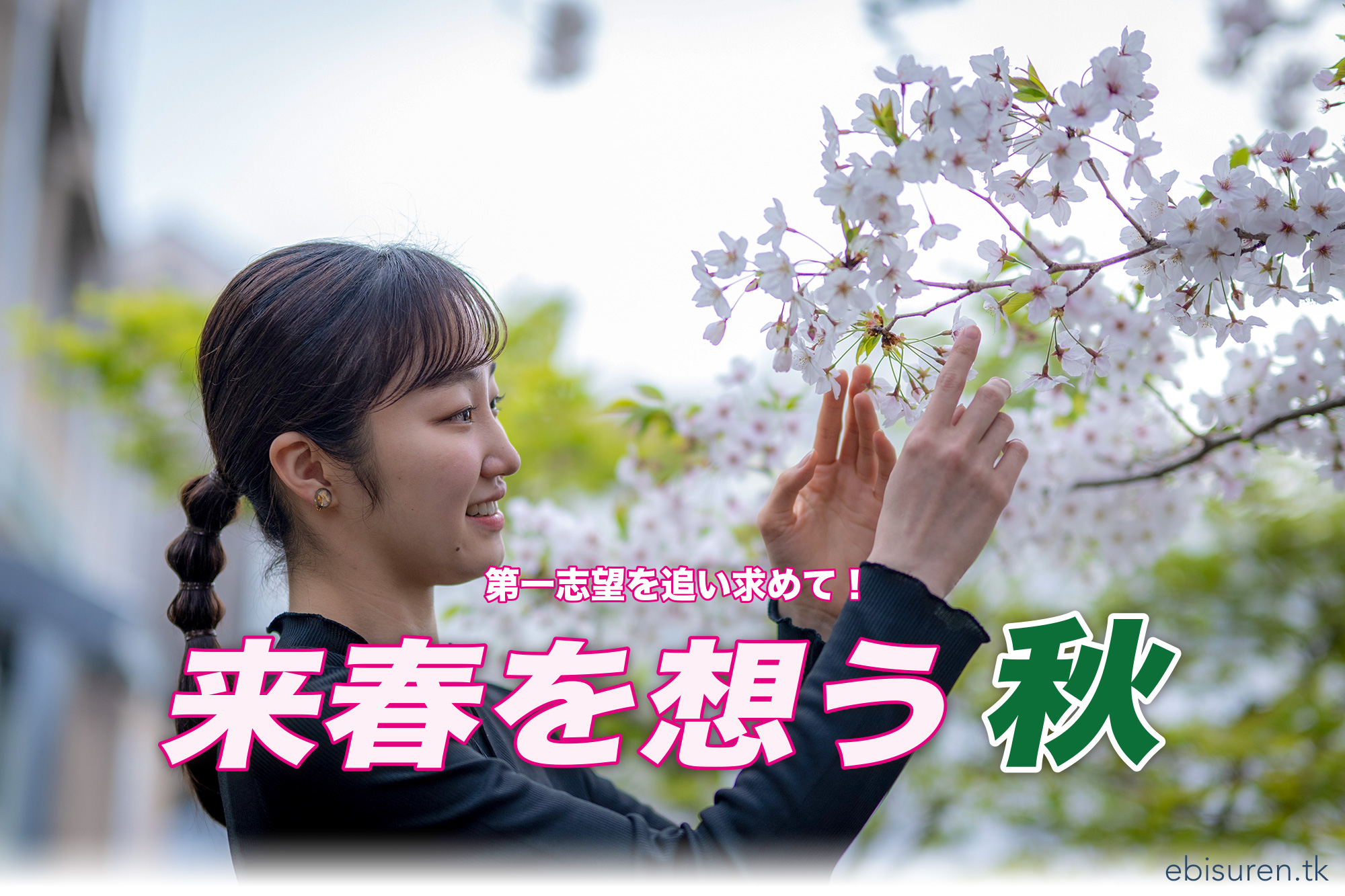 さあ！定期試験対策!!