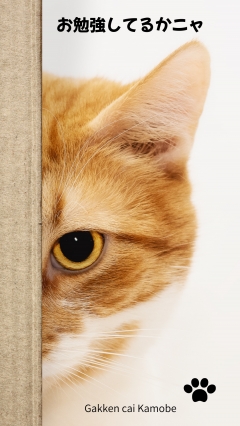 小学生は基礎学力アップ、学習の習慣付けから中学受験もご対応できます